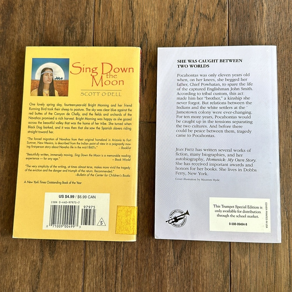 2 Native American Themed Books - Picture 2 of 2